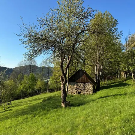 Hajan Διαμέρισμα